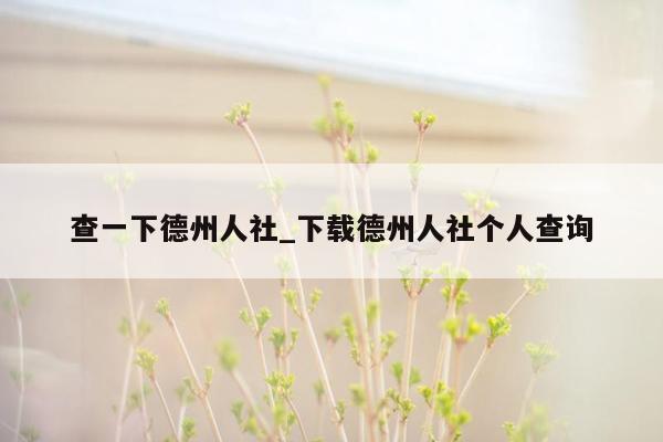 查一下德州人社_下载德州人社个人查询