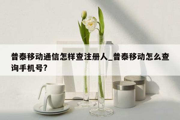 普泰移动通信怎样查注册人_普泰移动怎么查询手机号?