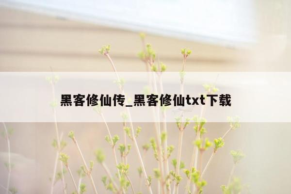 黑客修仙传_黑客修仙txt下载