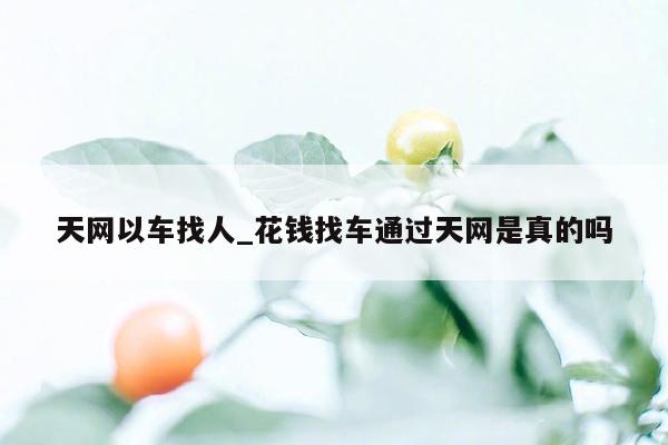 天网以车找人_花钱找车通过天网是真的吗