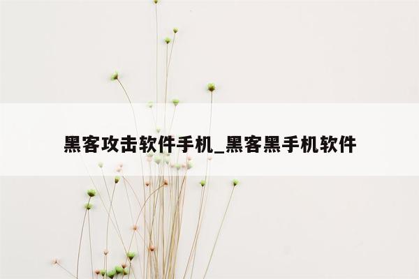 黑客攻击软件手机_黑客黑手机软件