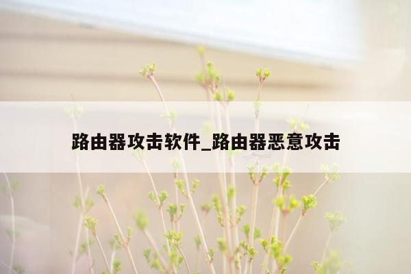 路由器攻击软件_路由器恶意攻击