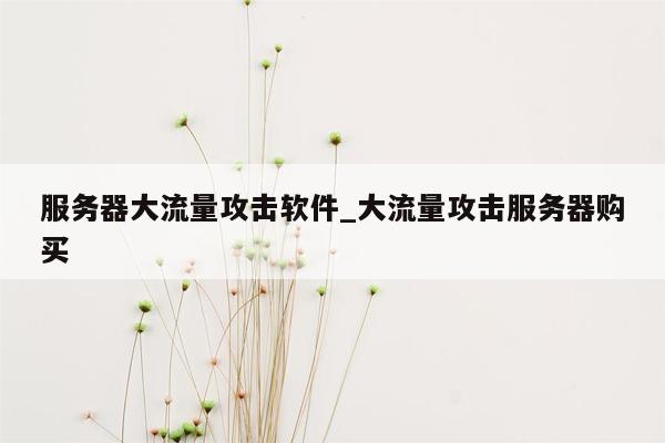 服务器大流量攻击软件_大流量攻击服务器购买