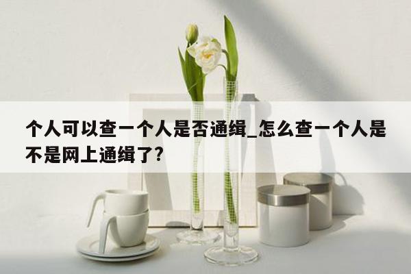 个人可以查一个人是否通缉_怎么查一个人是不是网上通缉了?