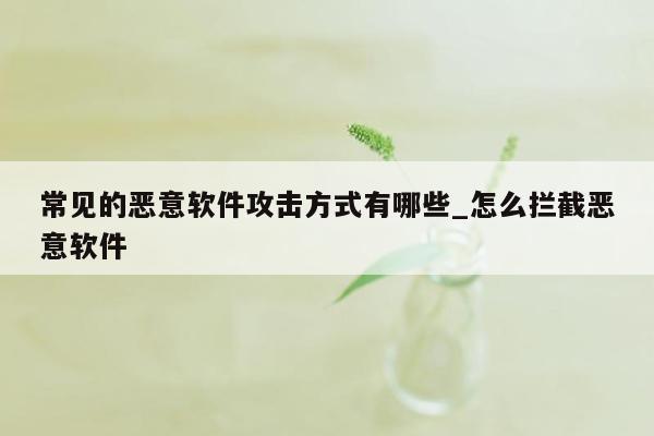 常见的恶意软件攻击方式有哪些_怎么拦截恶意软件