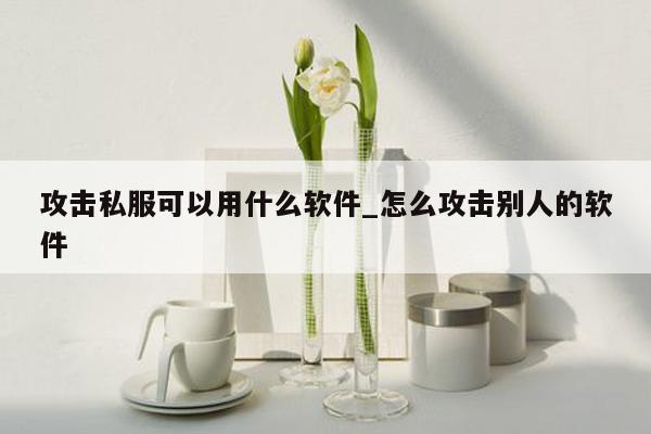 攻击私服可以用什么软件_怎么攻击别人的软件