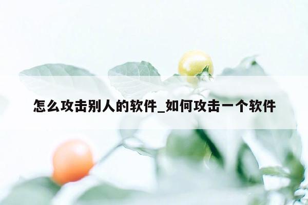 怎么攻击别人的软件_如何攻击一个软件