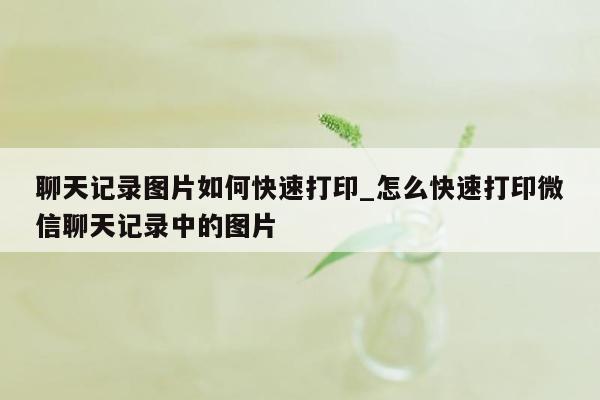 聊天记录图片如何快速打印_怎么快速打印微信聊天记录中的图片