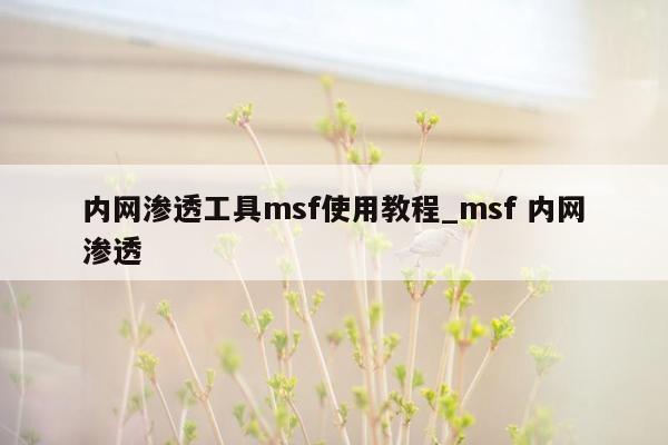 内网渗透工具msf使用教程_msf 内网渗透