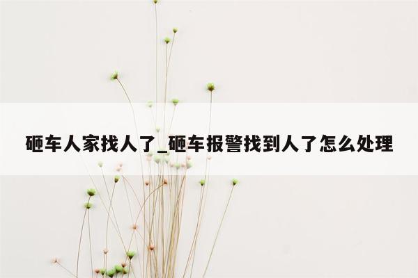 砸车人家找人了_砸车报警找到人了怎么处理