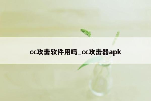 cc攻击软件用吗_cc攻击器apk