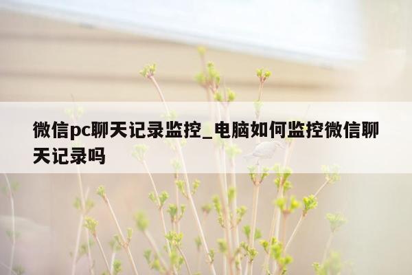 微信pc聊天记录监控_电脑如何监控微信聊天记录吗