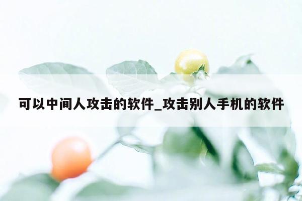 可以中间人攻击的软件_攻击别人手机的软件