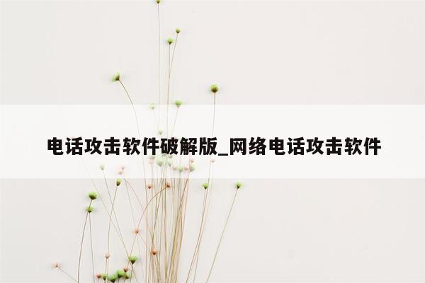 电话攻击软件破解版_网络电话攻击软件