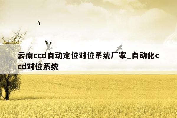 云南ccd自动定位对位系统厂家_自动化ccd对位系统