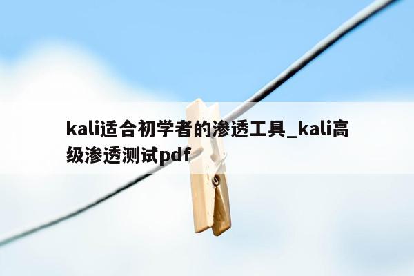 kali适合初学者的渗透工具_kali高级渗透测试pdf