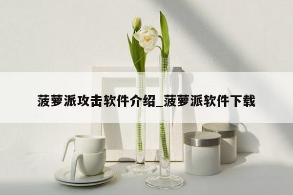 菠萝派攻击软件介绍_菠萝派软件下载