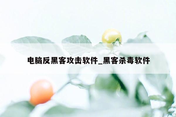 电脑反黑客攻击软件_黑客杀毒软件