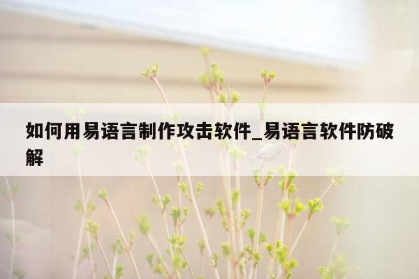 如何用易语言制作攻击软件_易语言软件防破解