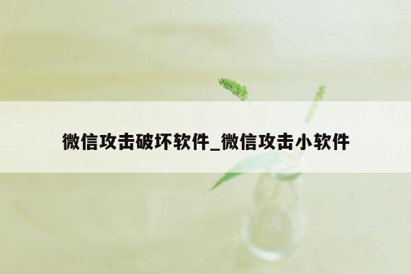 微信攻击破坏软件_微信攻击小软件