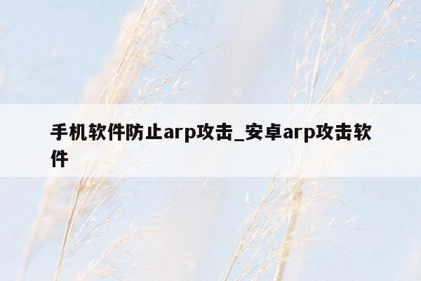 手机软件防止arp攻击_安卓arp攻击软件