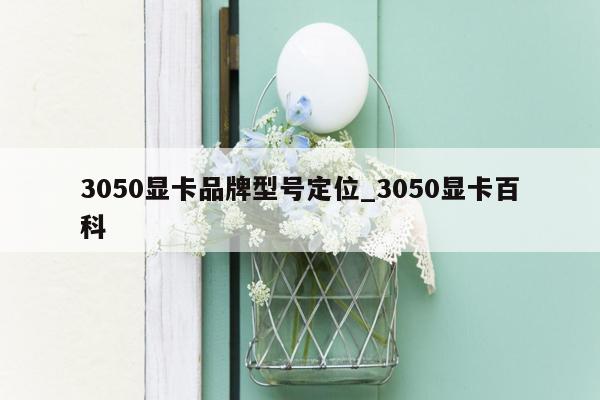 3050显卡品牌型号定位_3050显卡百科