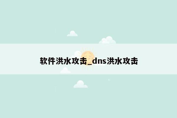 软件洪水攻击_dns洪水攻击