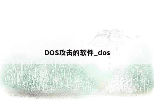 DOS攻击的软件_dos