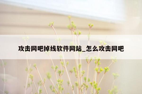 攻击网吧掉线软件网站_怎么攻击网吧