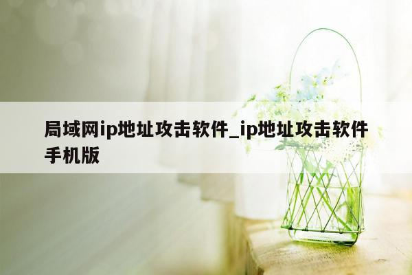 局域网ip地址攻击软件_ip地址攻击软件手机版