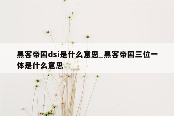 黑客帝国dsi是什么意思_黑客帝国三位一体是什么意思