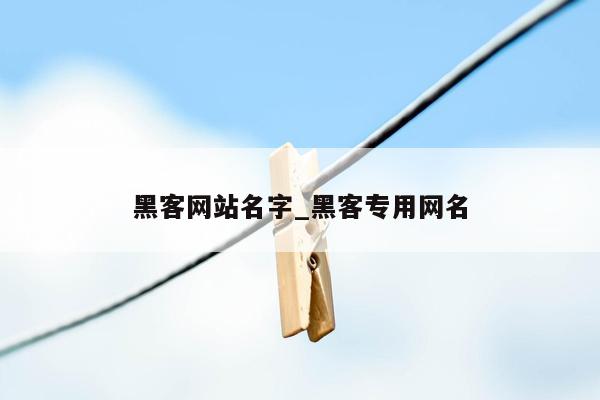 黑客网站名字_黑客专用网名