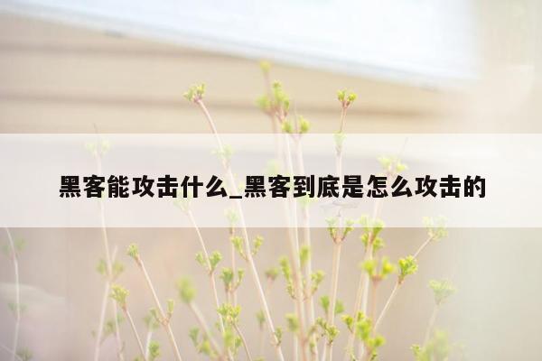 黑客能攻击什么_黑客到底是怎么攻击的