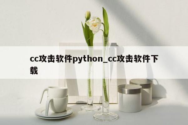 cc攻击软件python_cc攻击软件下载