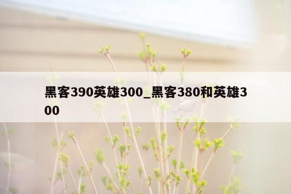 黑客390英雄300_黑客380和英雄300