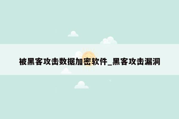 被黑客攻击数据加密软件_黑客攻击漏洞