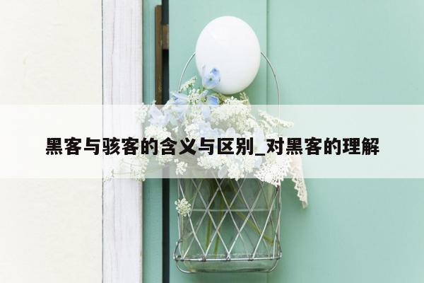 黑客与骇客的含义与区别_对黑客的理解