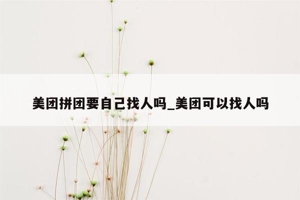 美团拼团要自己找人吗_美团可以找人吗