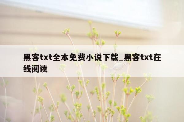 黑客txt全本免费小说下载_黑客txt在线阅读