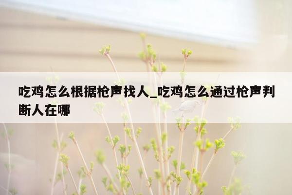 吃鸡怎么根据枪声找人_吃鸡怎么通过枪声判断人在哪