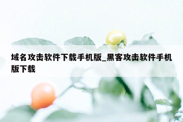 域名攻击软件下载手机版_黑客攻击软件手机版下载