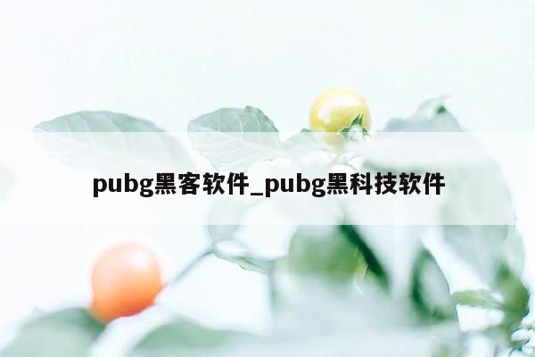 pubg黑客软件_pubg黑科技软件