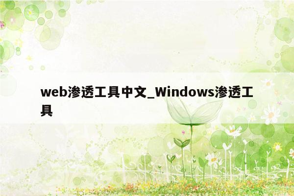 web渗透工具中文_Windows渗透工具