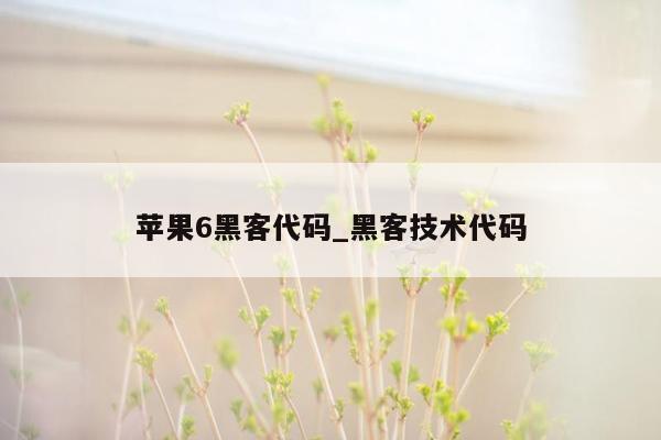 苹果6黑客代码_黑客技术代码