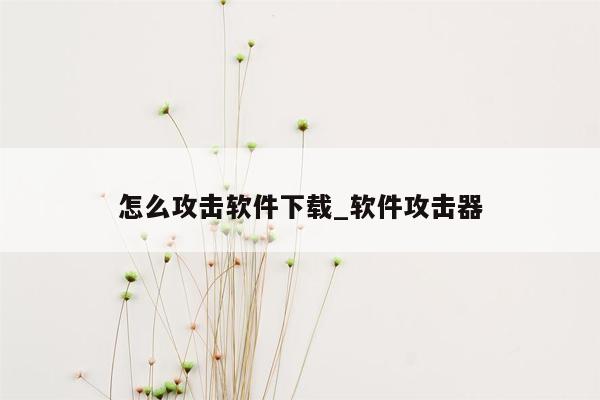 怎么攻击软件下载_软件攻击器