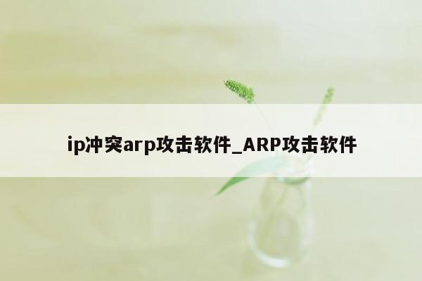 ip冲突arp攻击软件_ARP攻击软件