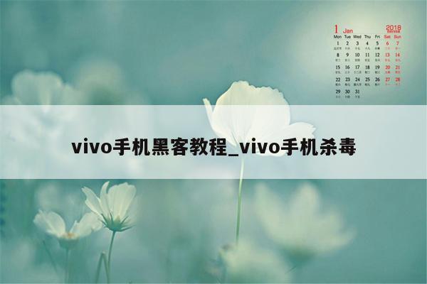 vivo手机黑客教程_vivo手机杀毒