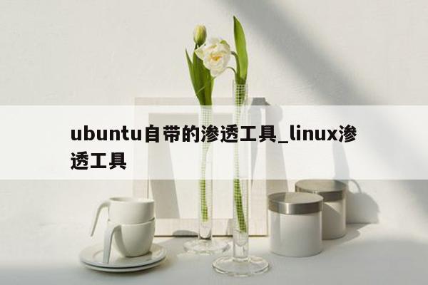 ubuntu自带的渗透工具_linux渗透工具