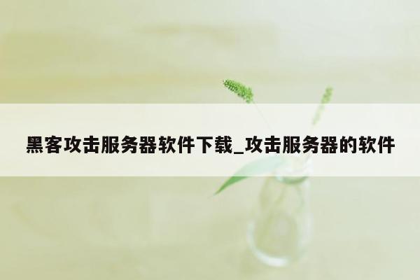 黑客攻击服务器软件下载_攻击服务器的软件