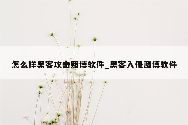 怎么样黑客攻击赌博软件_黑客入侵赌博软件